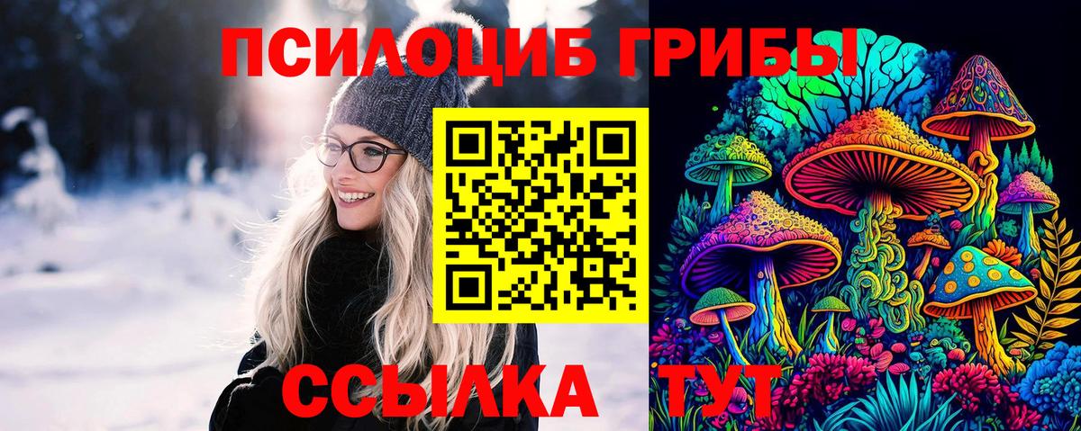 дарнет шоп  Псилоцибиновые грибы мухоморы  Вход с VPN  Коломна 